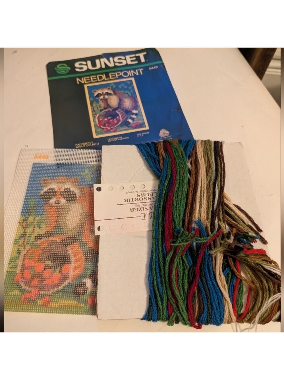 Sunset Needlepoint Kit with Raccoon Design